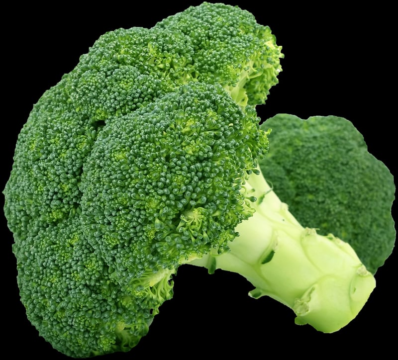 Farm-to-table vegetables
